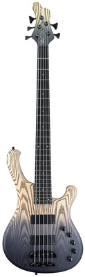 Mayones Guitars - Nobleking 5 Black Horizon