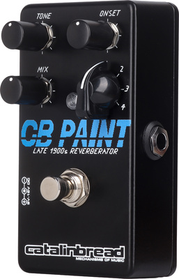 Catalinbread - CB Paint late 1900s Reverb