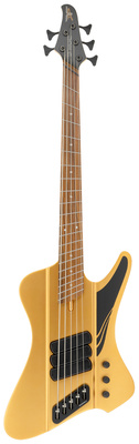 Dingwall - D-Roc Std 5 Matte Gold LTD Dingwall - D-Roc Std 5 Matte Gold LTD