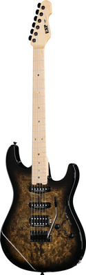 ESP - Snapper CTM Poplar Burl NBB