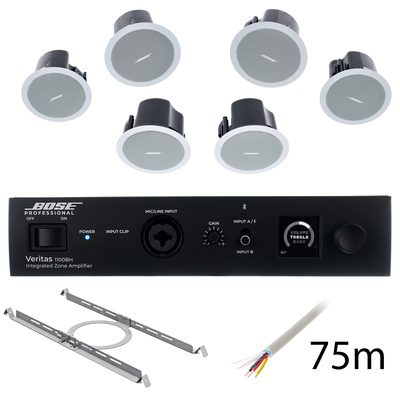 Bose Professional - Veritas 1100BH/FS2C W Bundle Bose Professional - Veritas 1100BH/FS2C W Bundle