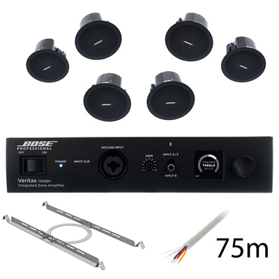 Bose Professional - Veritas 1100BH/FS2C B Bundle Bose Professional - Veritas 1100BH/FS2C B Bundle