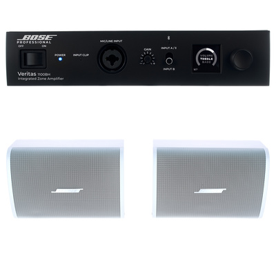 Bose Professional - Veritas 1100BH/DM3SE W Bundle Bose Professional - Veritas 1100BH/DM3SE W Bundle