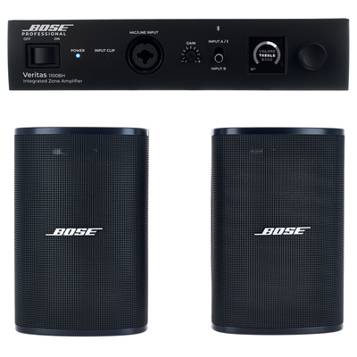 Bose Professional - Veritas 1100BH/DM3SE B Bundle Bose Professional - Veritas 1100BH/DM3SE B Bundle