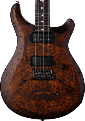 PRS - Wood Library S2 Cust. 24-08 BG PRS - Wood Library S2 Cust. 24-08 BG