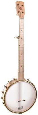 Pisgah - 'Appalachian Maple 11''' Pisgah - 'Appalachian Maple 11'''