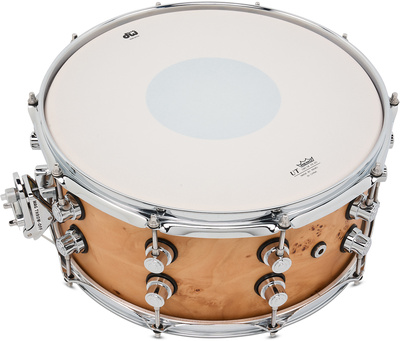 DW - '14''x6,5'' Birch Mapa limited'