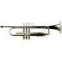 C trompetid