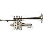 Piccolo trompetid
